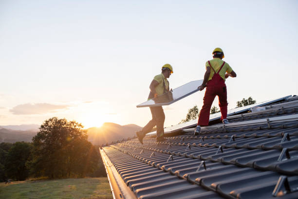 Best Roof Maintenance and Cleaning  in Conestee, SC