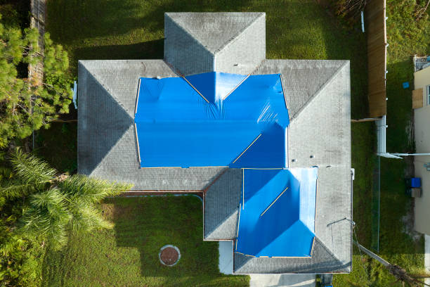 Best Roof Insulation Installation  in Conestee, SC