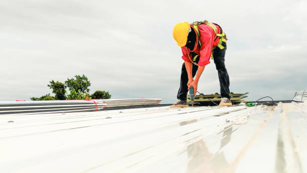Best Roof Waterproofing  in Conestee, SC
