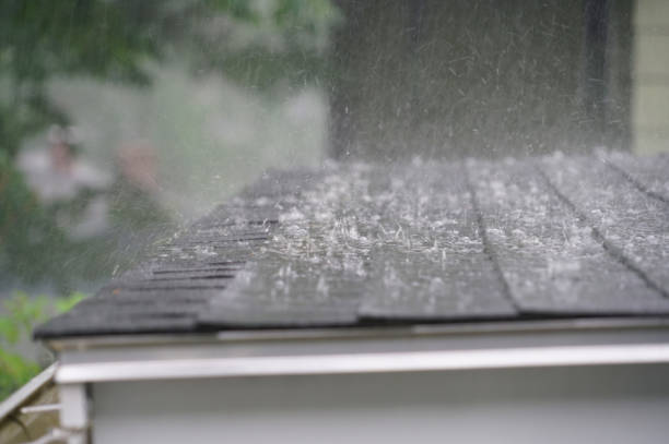 Best Steel Roofing  in Conestee, SC
