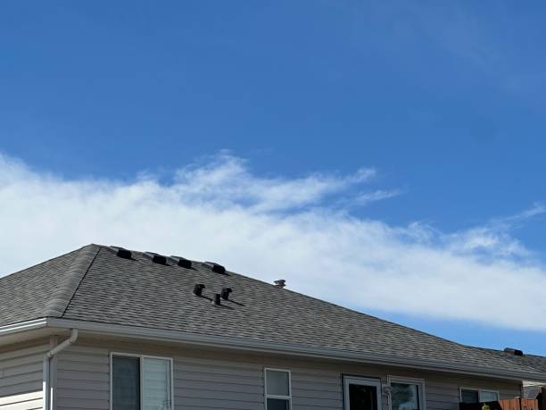 Waterproofing in Conestee, SC